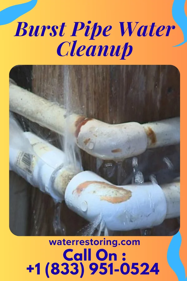 Burst Pipe Water Cleanup in Louisville, OH