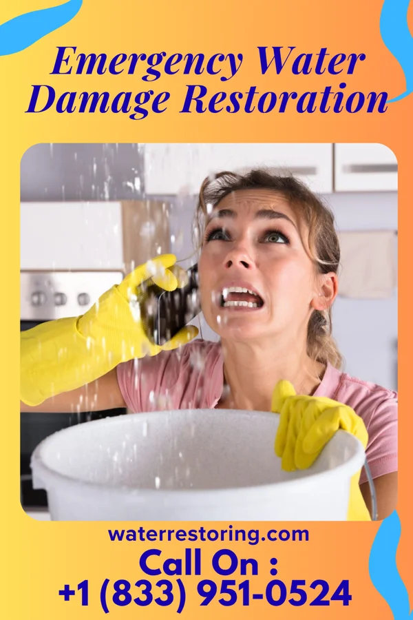 Emergency Water Damage Restoration in Louisville, OH