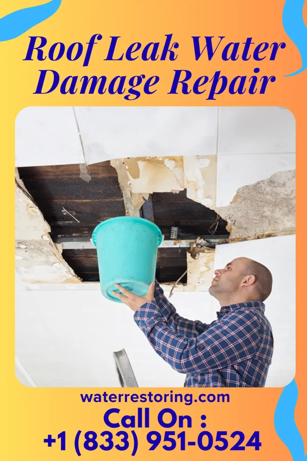 Roof Leak Water Damage Repair in Louisville, OH