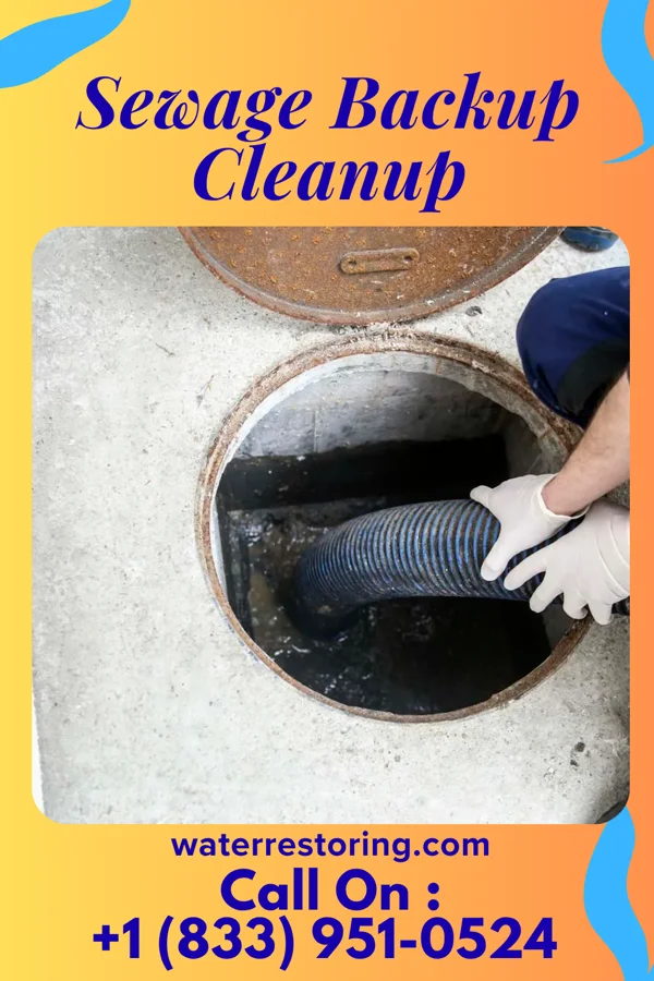 Sewage Backup Cleanup in Louisville, OH