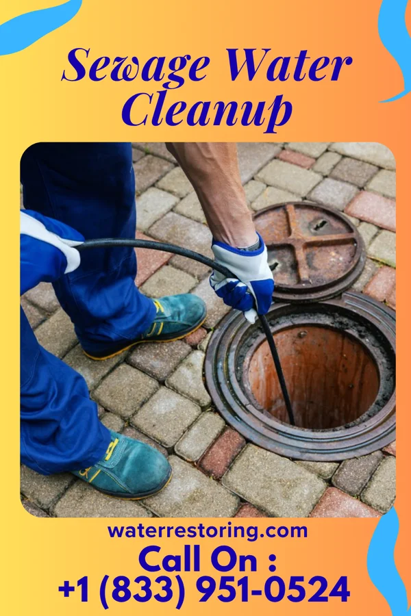 Sewage Water Cleanup in Louisville, OH
