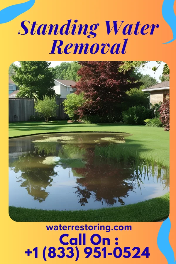 Standing Water Removal in Louisville, OH